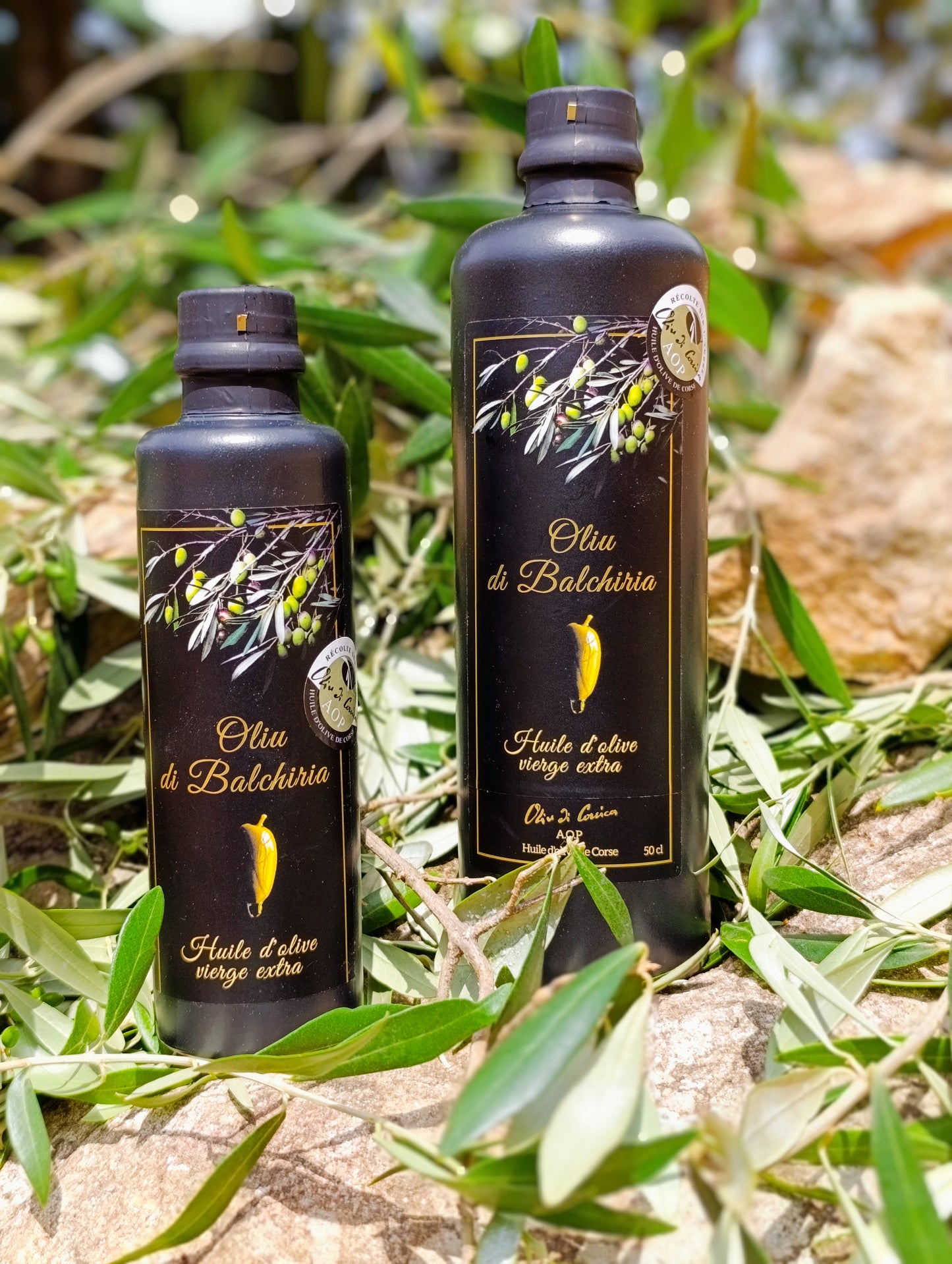Huile d'olive vierge extra BIO et AOP "Oliu di corsica"